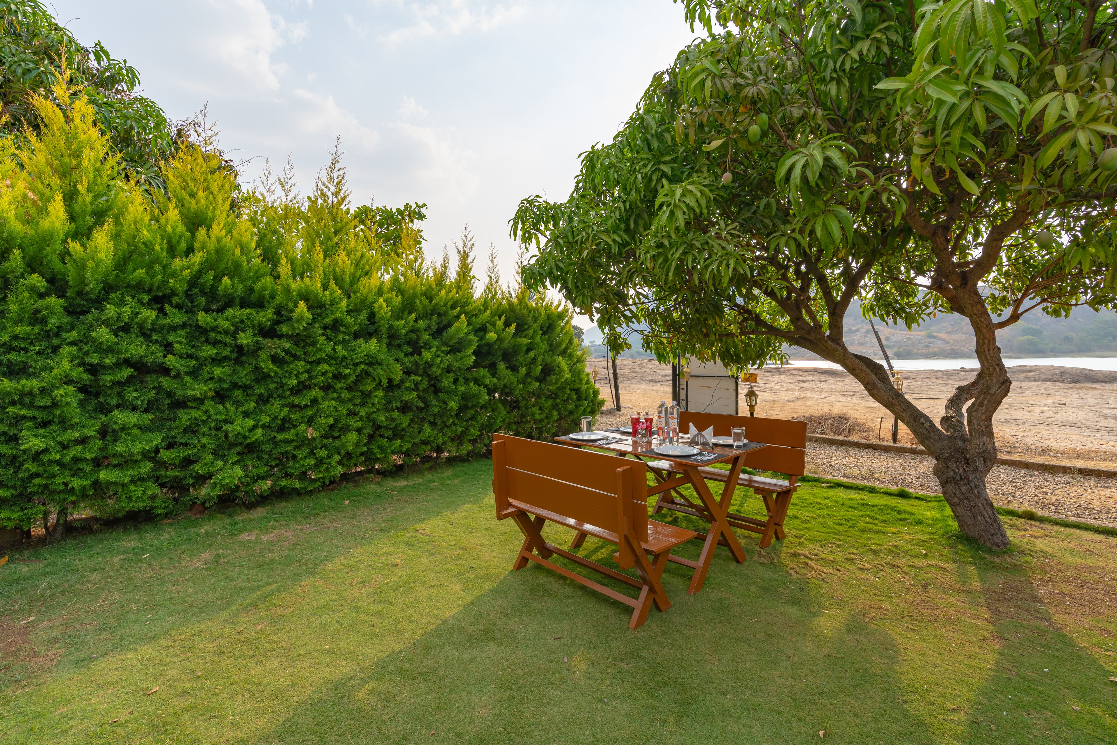 Lawn dining set under the trees at Q Mango Forest