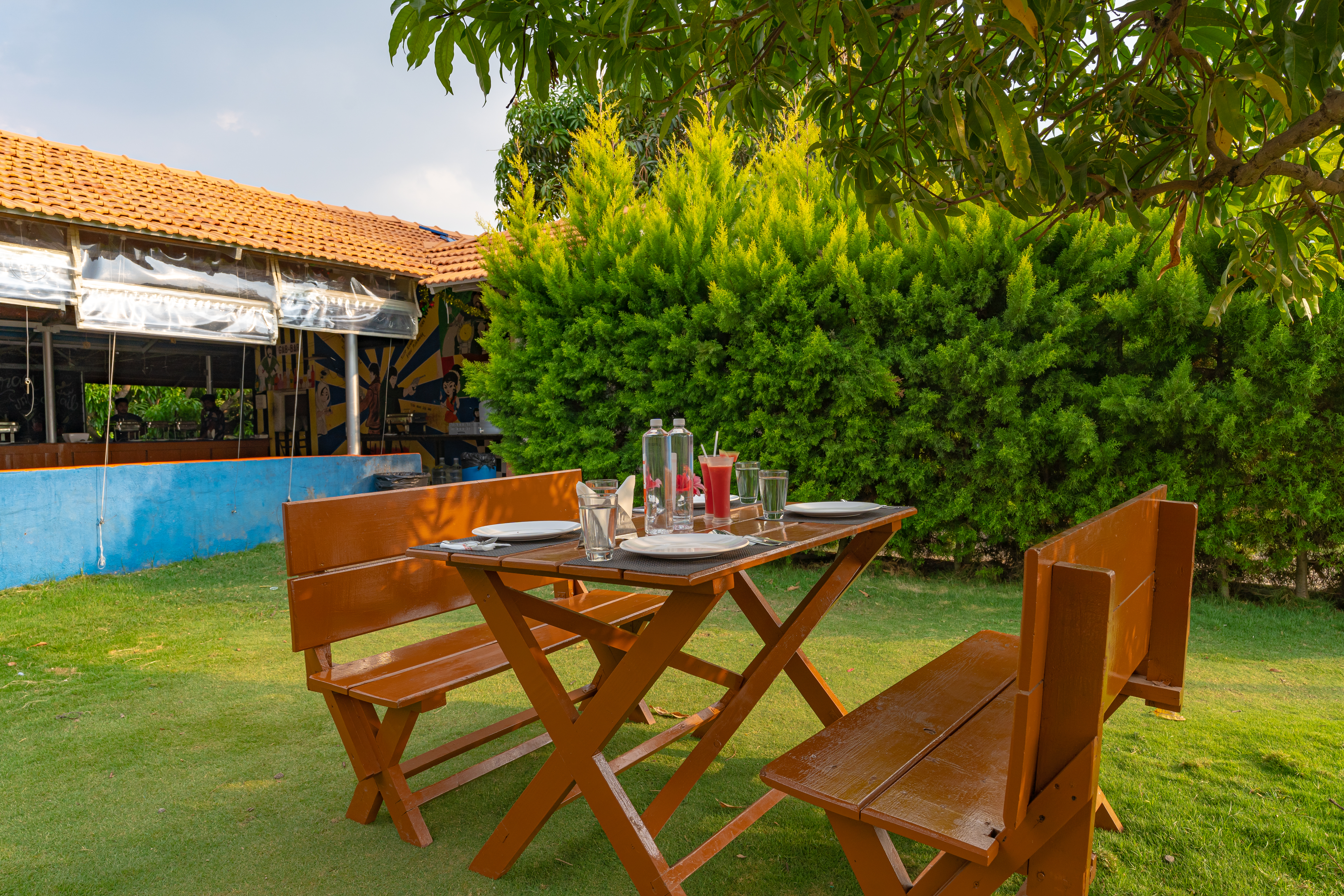 restaurant addis picnic restaurants near me