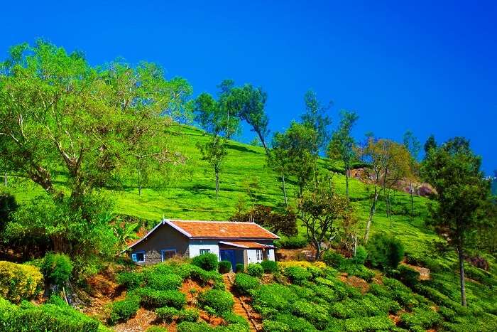 Best Road Trips in South India by car